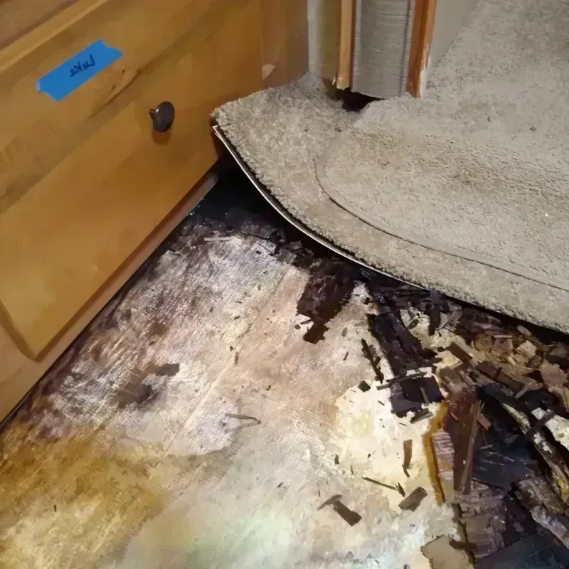 Wood Floor Water Damage in Bryant, AR